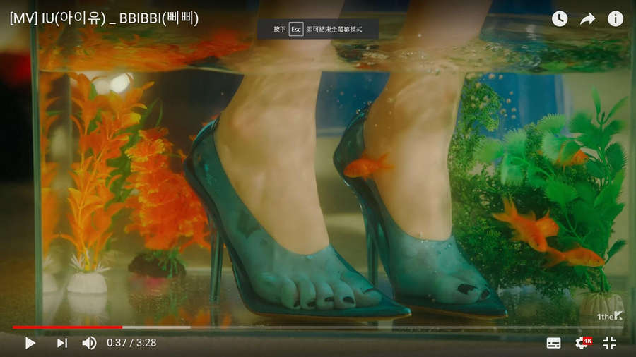 Ji Eun Lee Feet